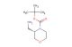 (S)-tert-butyl 3-(aminomethyl)morpholine-4-carboxylate