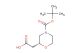 (R)-2-(4-(tert-Butoxycarbonyl)morpholin-2-yl)acetic acid