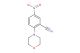 2-Morpholino-5-nitrobenzonitrile
