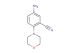 5-amino-2-morpholinobenzonitrile