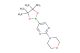 4-(5-(4,4,5,5-Tetramethyl-1,3,2-dioxaborolan-2-yl)pyrimidin-2-yl)morpholine