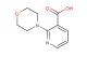 2-Morpholinonicotinic acid
