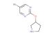 5-bromo-2-(pyrrolidin-3-yloxy)pyrimidine