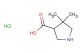 4,4-dimethylpyrrolidine-3-carboxylic acid hydrochloride