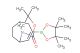 tert-butyl 3-(4,4,5,5-tetramethyl-1,3,2-dioxaborolan-2-yl)-8-azabicyclo[3.2.1]oct-3-ene-8-carboxylate