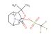 tert-butyl 3-(((trifluoromethyl)sulfonyl)oxy)-8-azabicyclo[3.2.1]oct-2-ene-8-carboxylate