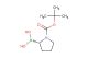 (S)-(1-(tert-butoxycarbonyl)pyrrolidin-2-yl)boronic acid