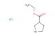 ethyl pyrrolidine-3-carboxylate hydrochloride