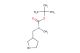 tert-butyl methyl(pyrrolidin-3-ylmethyl)carbamate