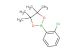 2-(2-chlorophenyl)-4,4,5,5-tetramethyl-1,3,2-dioxaborolane