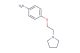4-(2-(Pyrrolidin-1-yl)ethoxy)aniline