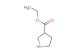 ethyl pyrrolidine-3-carboxylate