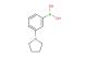 3-(pyrrolidino)phenylboronic acid