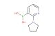 (2-(Pyrrolidin-1-yl)pyridin-3-yl)boronic acid