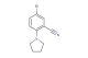 5-bromo-2-(pyrrolidin-1-yl)benzonitrile