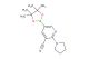 2-(Pyrrolidin-1-yl)-5-(4,4,5,5-tetramethyl-1,3,2-dioxaborolan-2-yl)nicotinonitrile