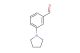 3-(Pyrrolidin-1-yl)benzaldehyde