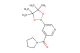 Pyrrolidin-1-yl(5-(4,4,5,5-tetramethyl-1,3,2-dioxaborolan-2-yl)pyridin-3-yl)methanone