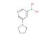 (5-(Pyrrolidin-1-yl)pyridin-3-yl)boronic acid