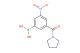 (3-Nitro-5-(pyrrolidine-1-carbonyl)phenyl)boronic acid