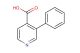 3-phenylpyridine-4-carboxylic acid
