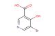 5-bromo-4-hydroxynicotinic acid