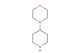 4-morpholinopiperidine