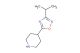 4-(3-isopropyl-[1,2,4]oxadiazol-5-yl)-piperidine
