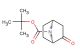 tert-butyl (1R,4S)-2-oxo-7-azabicyclo[2.2.1]heptane-7-carboxylate