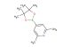 2,6-dimethyl-4-(4,4,5,5-tetramethyl-1,3,2-dioxaborolan-2-yl)pyridine