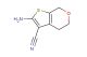 2-amino-5,7-dihydro-4H-thieno[2,3-c]pyran-3-carbonitrile