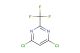 4,6-dichloro-2-trifluoromethyl-pyrimidine