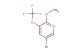 5-bromo-2-methoxy-3-(trifluoromethoxy)pyridine