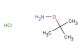 O-tert-butylhydroxylamine hydrochloride