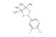 2-chloro-3-fluoro-5-(4,4,5,5-tetramethyl-1,3,2-dioxaborolan-2-yl)pyridine
