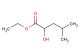 2-hydroxy4-methyl ethyl valerate