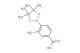 3-methyl-4-(4,4,5,5-tetramethyl-1,3,2-dioxaborolan-2-yl)benzoic acid
