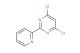 4,6-dichloro-2-(2-pyridinyl)pyrimidine
