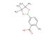 2-methyl-5-(4,4,5,5-tetramethyl-[1,3,2]dioxaborolan-2-yl)-benzoic acid