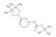 tert-butyl (3-(4,4,5,5-tetramethyl-1,3,2-dioxaborolan-2-yl)cyclohex-3-en-1-yl)carbamate