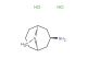 (1R,3r,5S)-9-methyl-9-azabicyclo[3.3.1]nonan-3-amine dihydrochloride