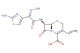 Cefdinir(Synonyms: FK-482; CI-983)