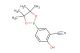 2-hydroxy-5-(4,4,5,5-tetramethyl-1,3,2-dioxaborolan-2-yl)benzonitrile