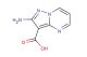2-aminopyrazolo[1,5-a]pyrimidine-3-carboxylic acid