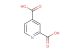 pyridine-2,4-dicarboxylic acid