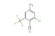 4-amino-2-chloro-6-(trifluoromethyl)benzonitrile