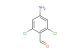 4-amino-2,6-dichlorobenzaldehyde