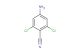 4-amino-2,6-dichlorobenzonitrile