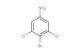 4-bromo-3,5-dichloroaniline