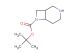 tert-butyl 3,7-diazabicyclo[4.2.0]octane-7-carboxylate